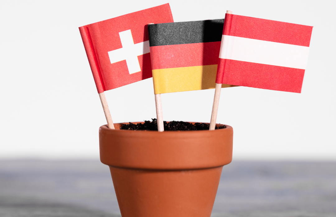 Navigating Cultural Differences in Outsourcing to the DACH Region